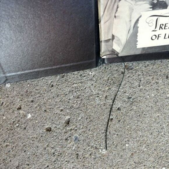 Treasures Of Life Getting The Most From Treasures Of Life - Picture 10 of 10